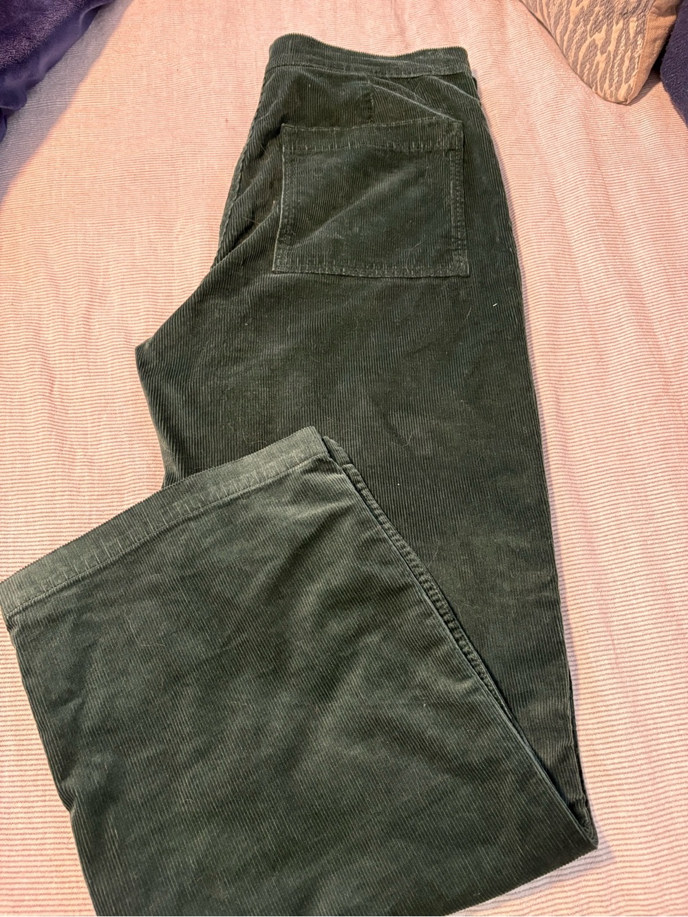 Madewell Emmet Wide Leg Corduroy Dark Green Pants, Welt Pocket edition - Picture 6 of 9